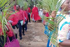 Palm Sunday