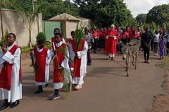 Palm Sunday procession