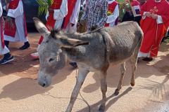 Palm Sunday procession