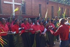 Palm-Sunday-procession-2