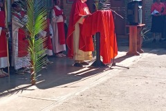 Palm-Sunday-procession-3