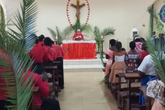 Palm-Sunday-procession-7