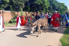Palm-Sunday-procession