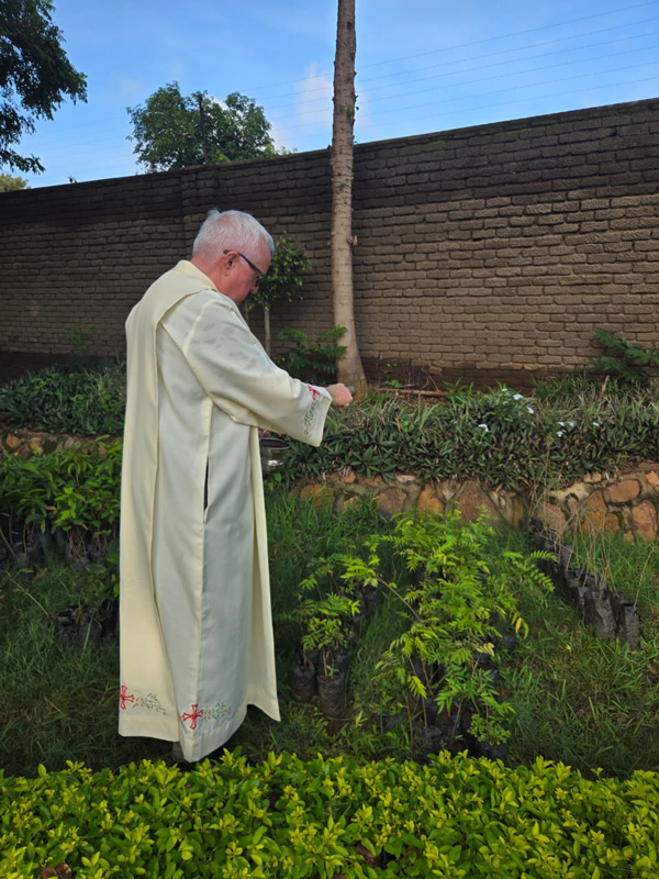 the parish priest blesses the tree seedlings