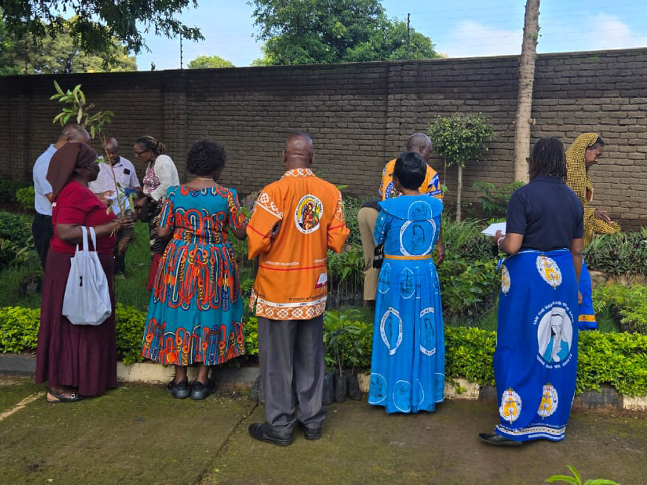 st kizito parish sccs collect tree seedlings
