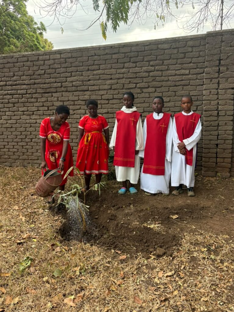 altar servers and liturgical dancers tree planting